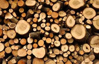 農林資源保護法制研究