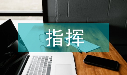 指揮引導(dǎo)容量評估探究