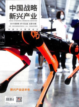 中國戰(zhàn)略新興產業(yè)
